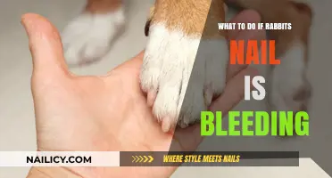 How to Stop Bleeding Rabbit Nails: Quick Care Tips