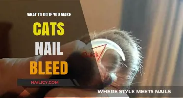 Oops! Cat Nail Bleeding: Quick First Aid and Prevention Tips