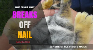 Bunny Nail Care: Quick Steps to Heal a Broken Nail