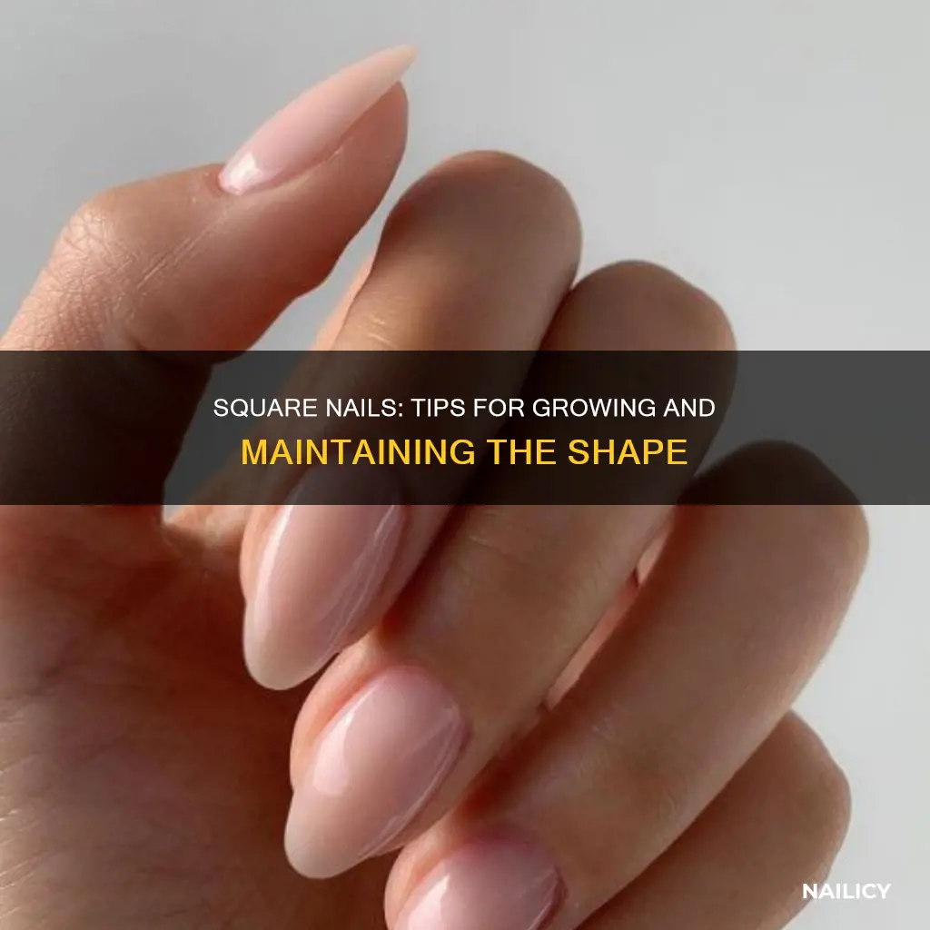 what to do to grow nice square nail