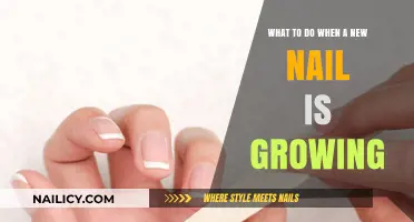 Nail Growth: How to Care for Your New Nails
