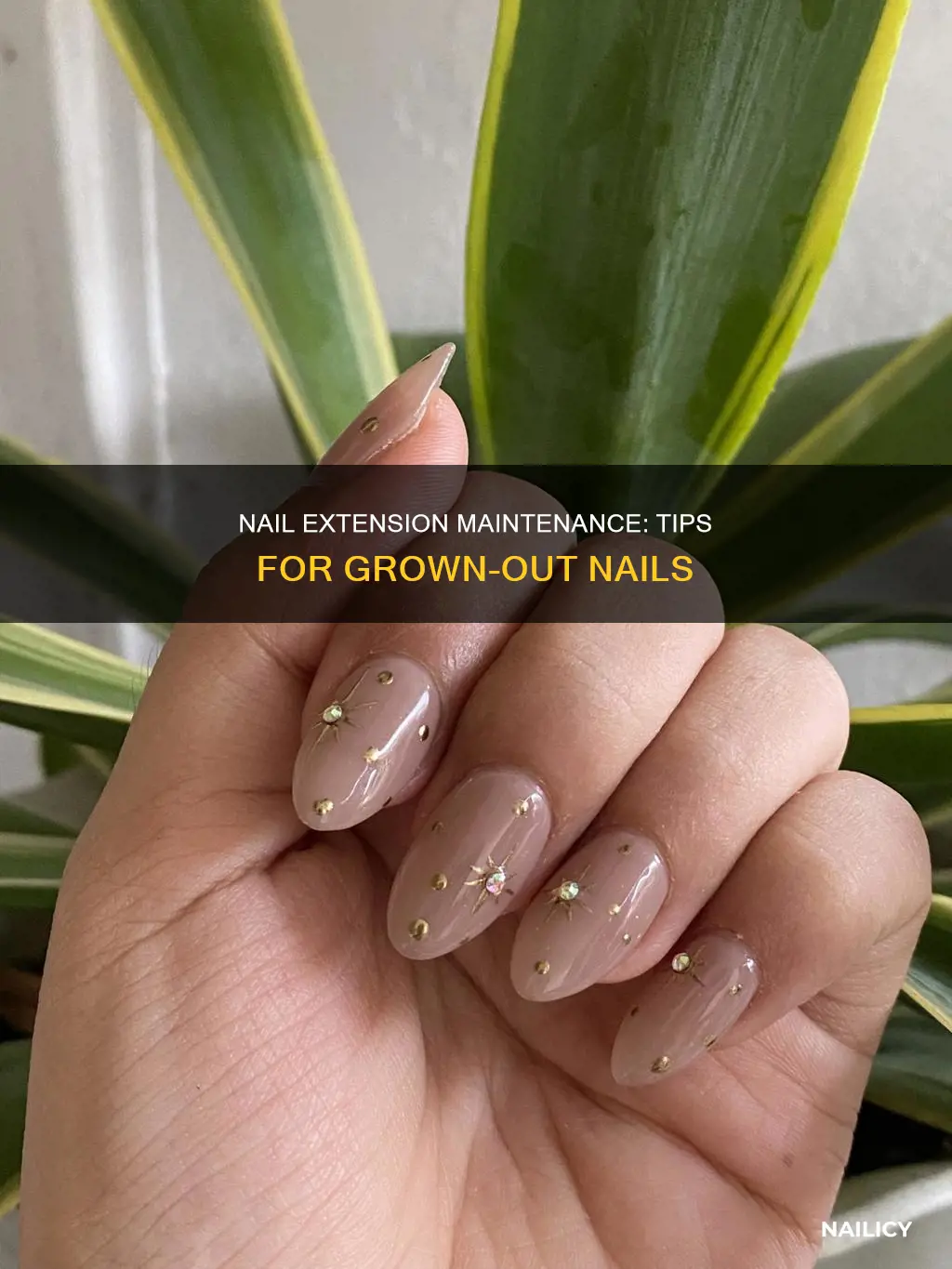 what to do when nail extensions grow out