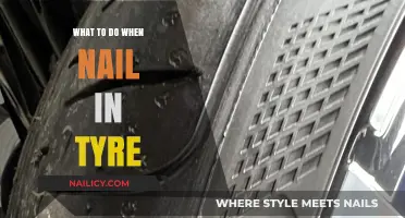 Nail in Tyre? Quick Fixes and When to Replace Your Tire