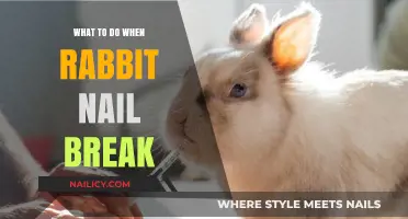 Rabbit Nail Break: Quick Care Tips for Healing and Prevention