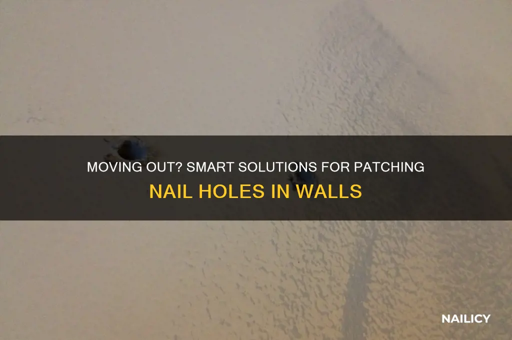 what to do with nail holes when moving