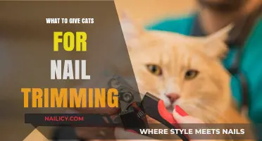 Trimming Cat Nails: Treats for a Calm Trim