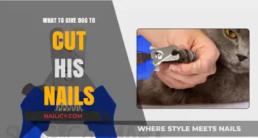 Dog Nail Trimming: Safe Treatments for Your Pet