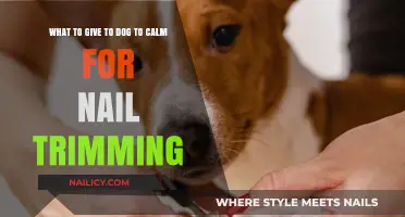 Calm Your Dog for Nail Trimming: Safe Treats and Tricks