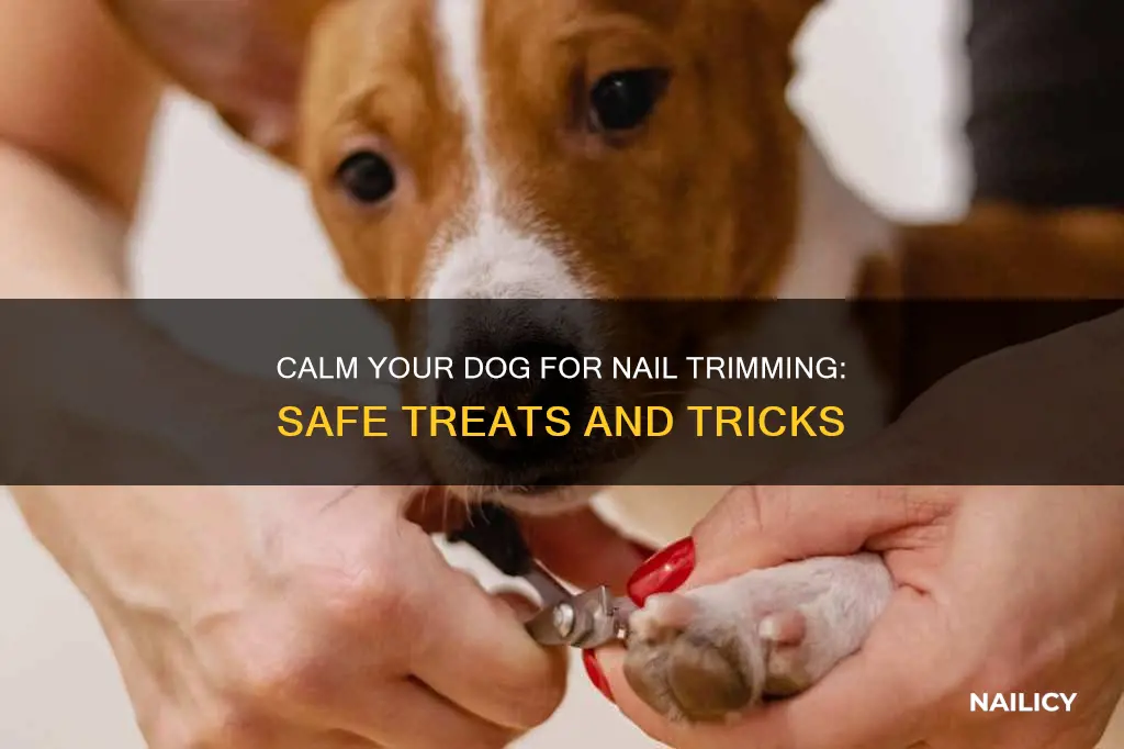 what to give to dog to calm for nail trimming