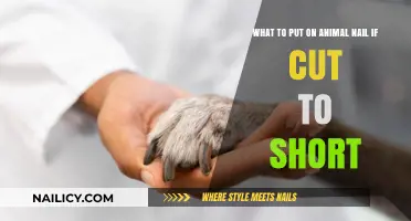 First Aid for Your Pet's Nails