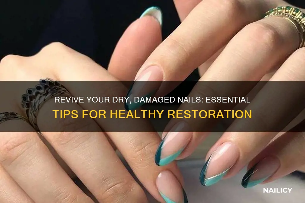 what to put on dry damaged nails