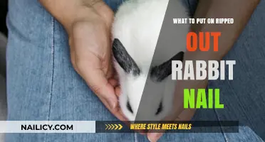 Quick Fix for Ripped Rabbit Nails: Gentle Care Tips