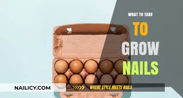 Nail Growth Essentials: What to Take for Longer Nails