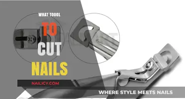 The Best Tool for Cutting Nails