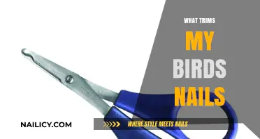 Trimming Bird Nails: A Natural Approach