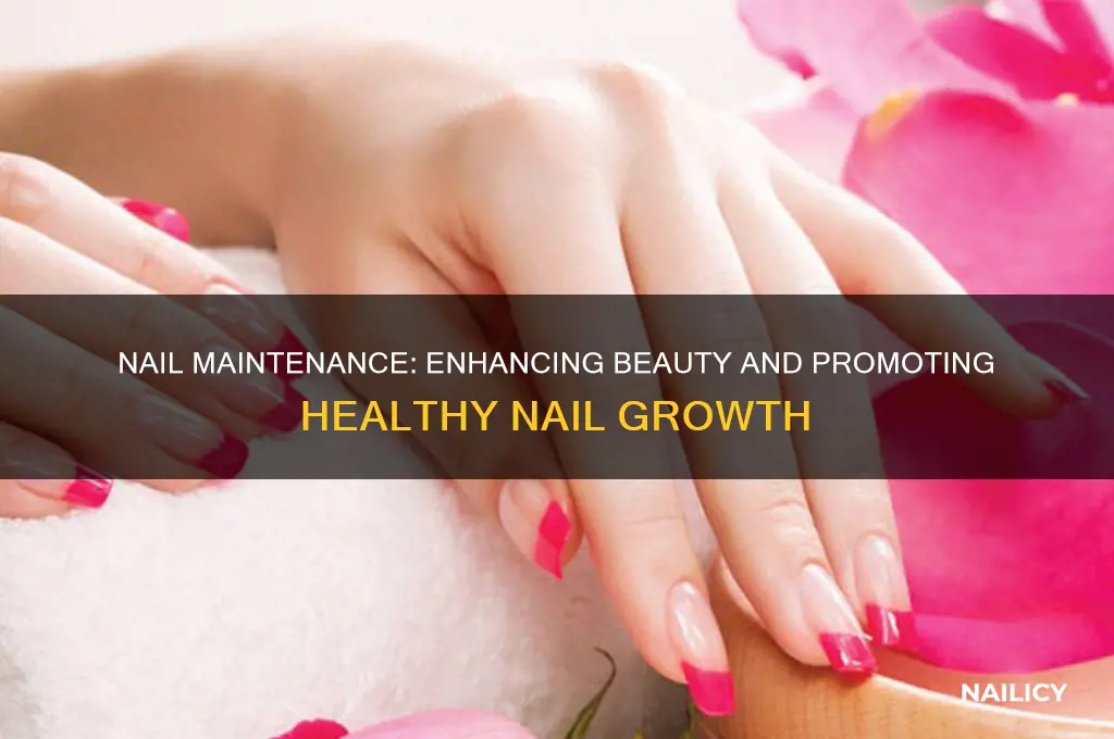 what two goals does nail maintenance accomplish