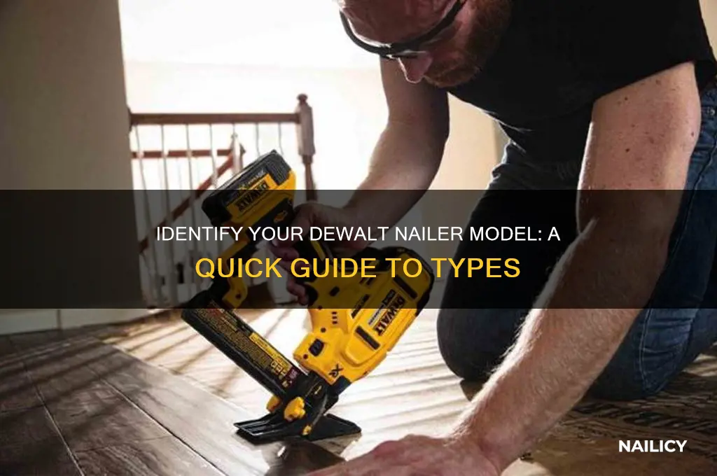 what type dewalt nailer do i have