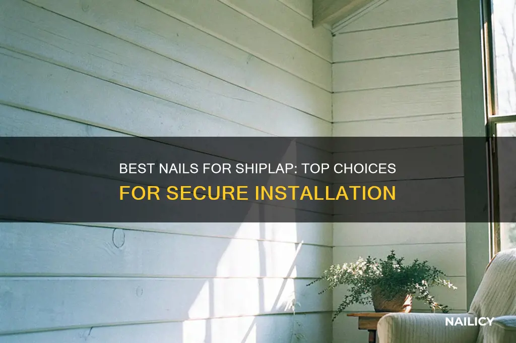 what type nails are best for shiplap