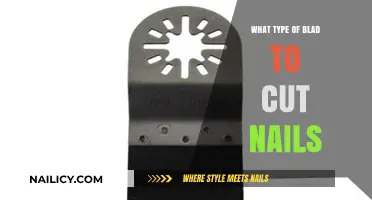 The Best Blade for Nail Cutting