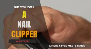Understanding Nail Clippers: A Simple Yet Effective Class 1 Lever