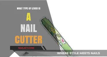 Understanding Nail Cutters: A Simple Machine Lever Type Explained