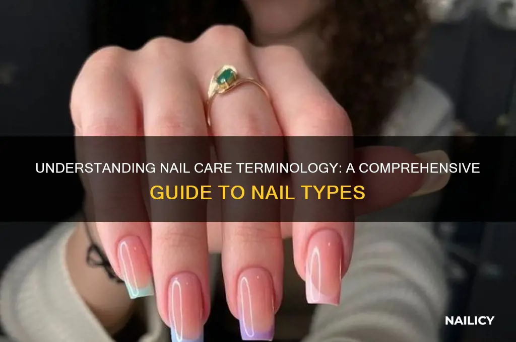 what type of nail careterminology
