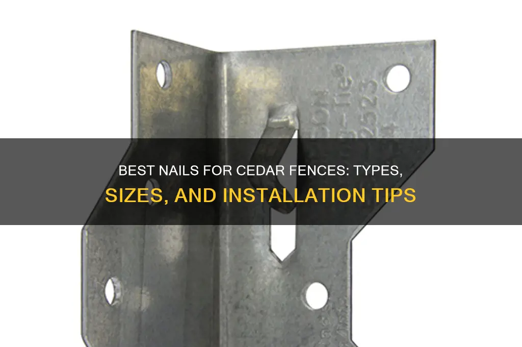 what type of nail for cedar fence