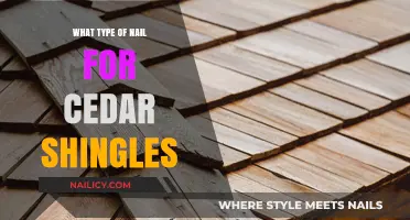 Best Nails for Cedar Shingles: Types, Sizes, and Installation Tips