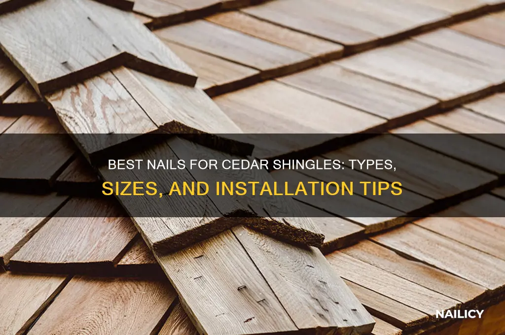 what type of nail for cedar shingles