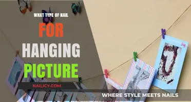 Choosing the Right Nails for Hanging Pictures: A Complete Guide