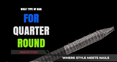 Best Nails for Quarter Round: A Comprehensive Guide for Perfect Installation