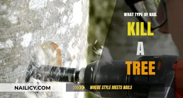 How a Single Nail Can Kill a Tree: Types and Risks