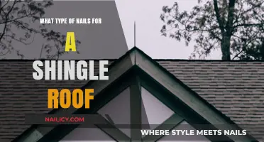 Choosing the Right Nails for Your Shingle Roof Installation Guide