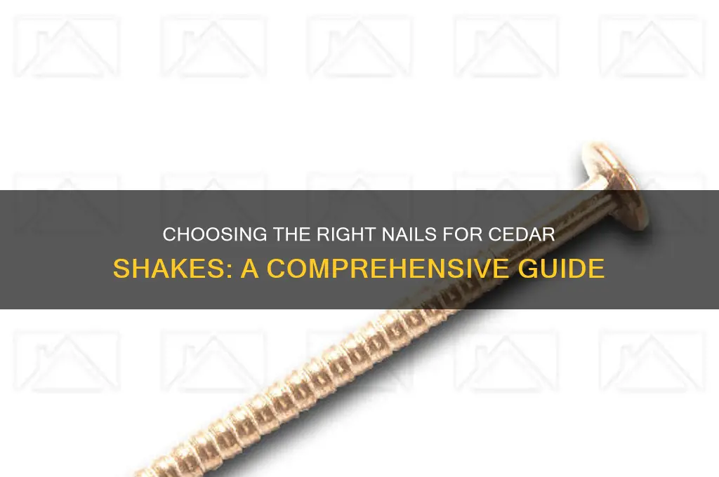 what type of nails for cedar shakes