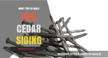 Best Nails for Cedar Siding: Types, Sizes, and Installation Tips