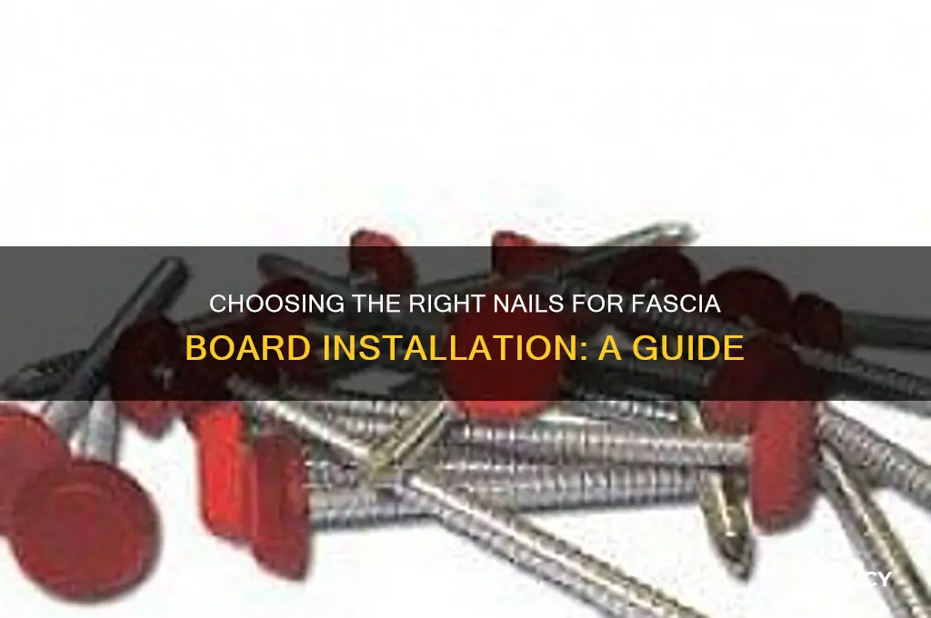 what type of nails for fascia board