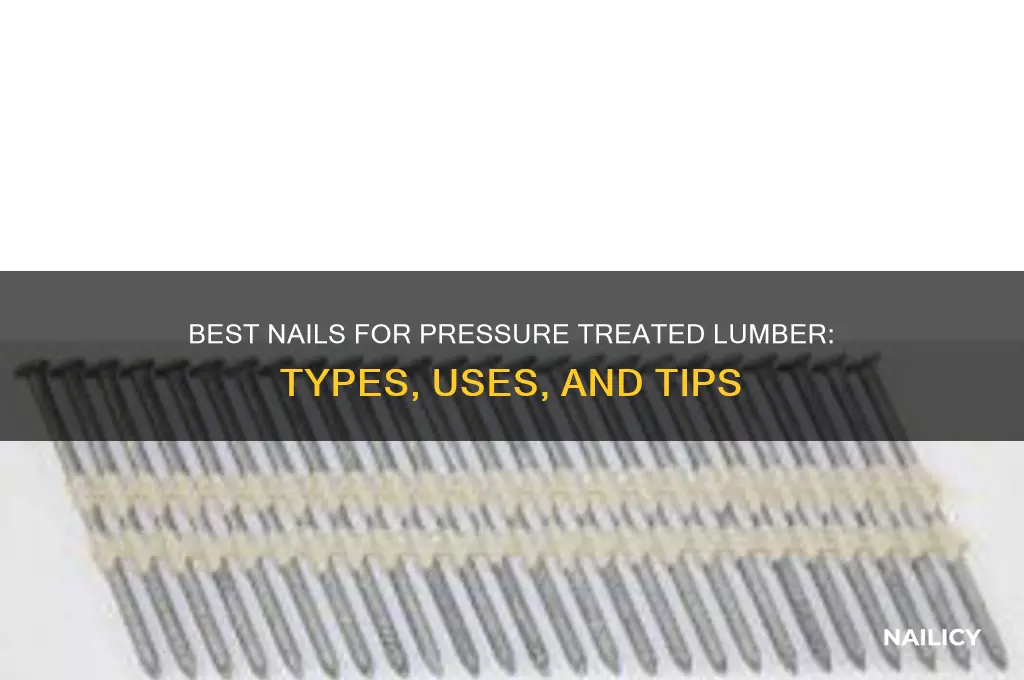 what type of nails for pressure treated lumber