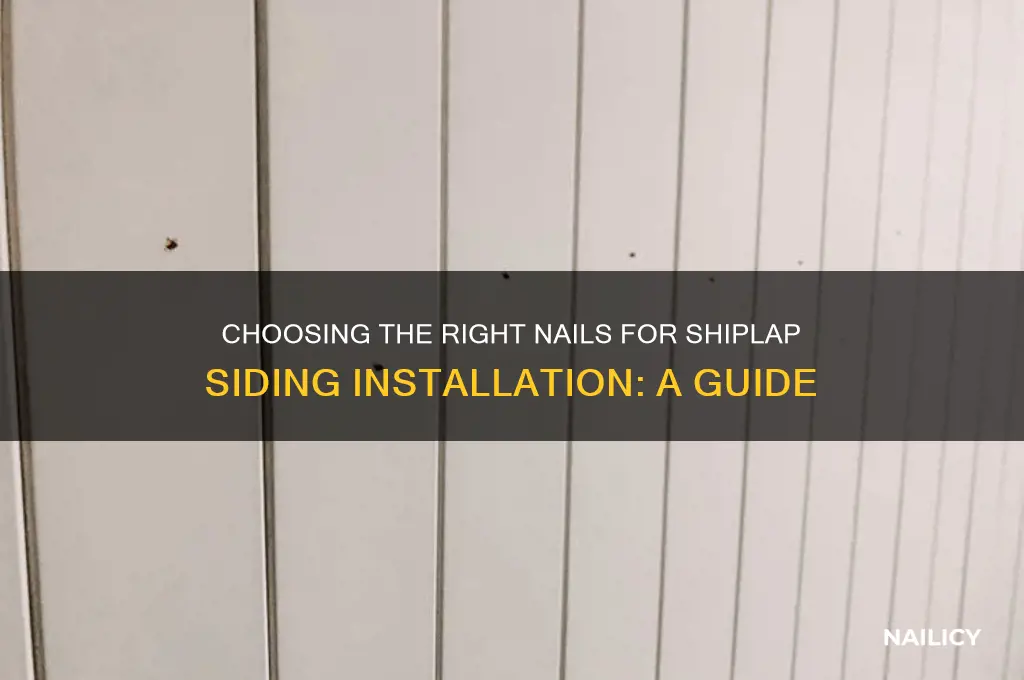 what type of nails for shiplap siding