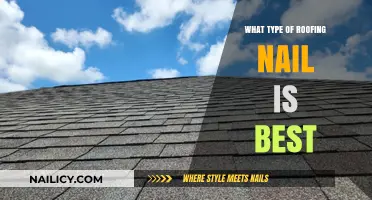 Choosing the Best Roofing Nail: Types, Uses, and Durability Guide