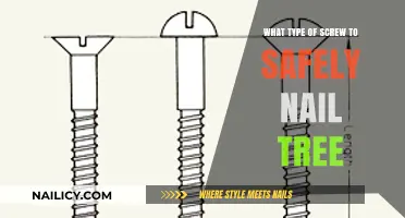 Choosing the Right Screw for Safely Securing Trees: A Guide