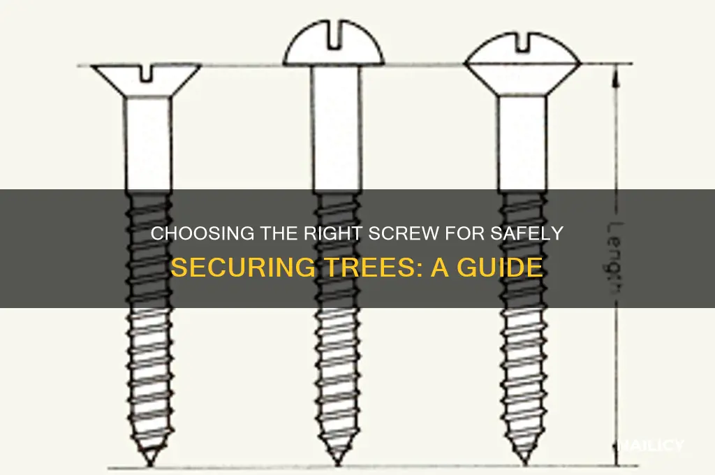 what type of screw to safely nail tree