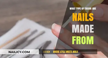 Understanding Nail Composition: The Keratinized Tissue Behind Strong Nails