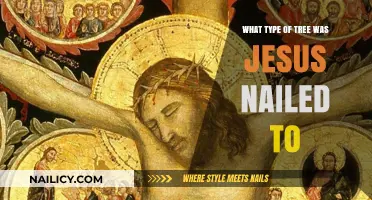 The Crucial Question: What Tree Held Jesus on the Cross?