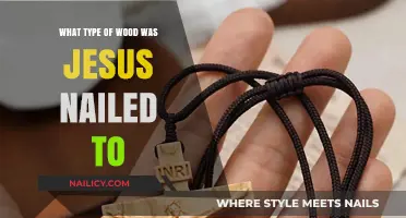 The Crucial Question: What Type of Wood Was Jesus Nailed To?