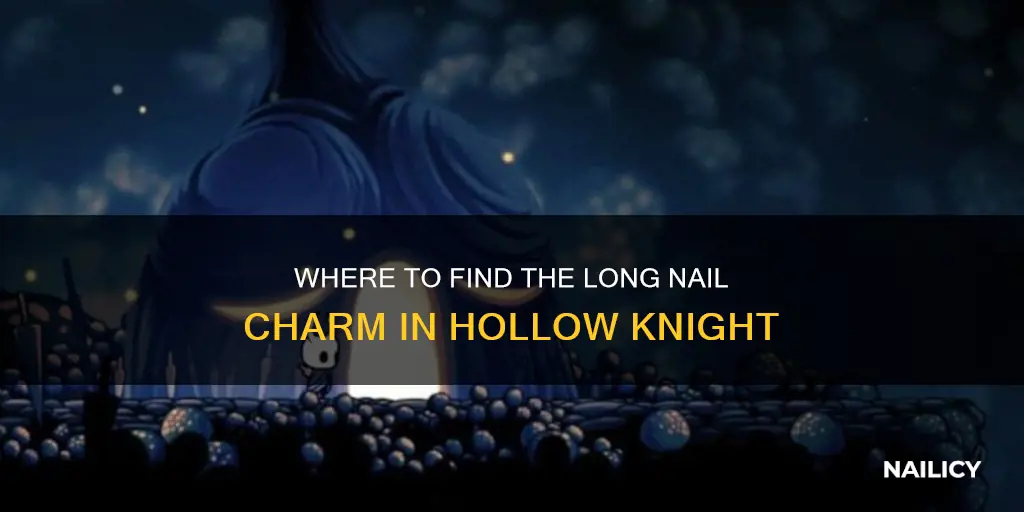 what vendor sells the long nail charm hollow knight