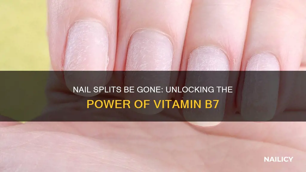 what vitamin keeps finger nails from splitting