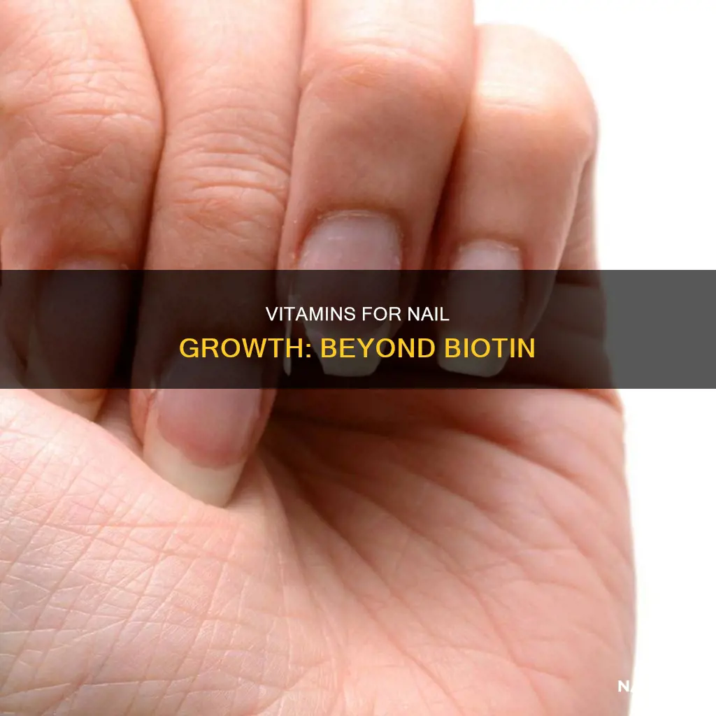 what vitamins besides biotin help nails grow