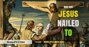 What Was Jesus Nailed To: Unraveling the Cross's Historical Mystery