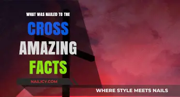 What Was Nailed to the Cross: Amazing Facts Revealed
