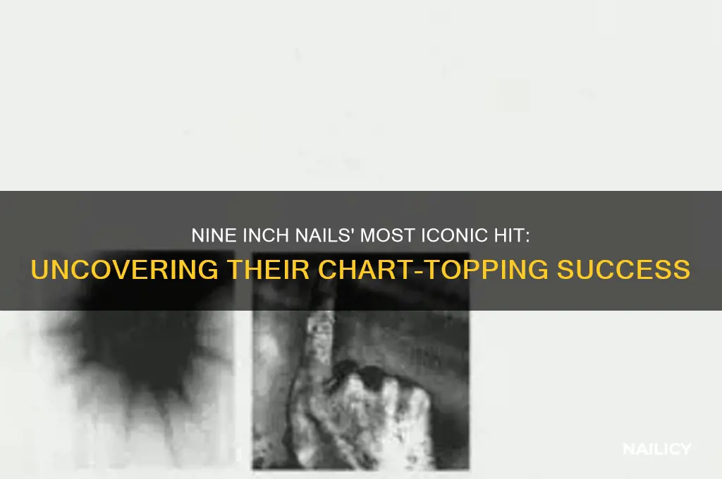 what was nine inch nails biggest hit